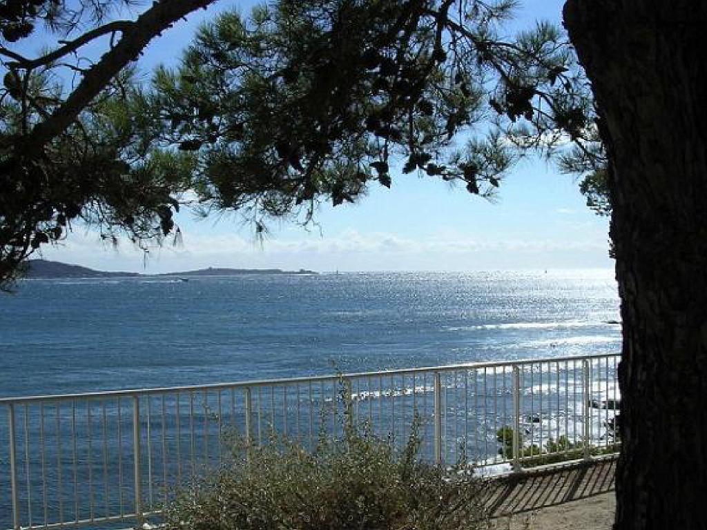 183 D18 PRESQU ILE DE GIENS 1_000030.jpg